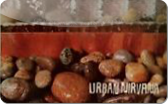 Urban&nbsp;Nirvana
Gift&nbsp;Card